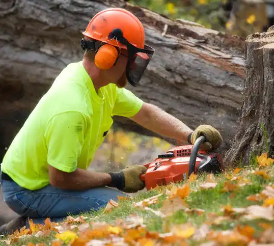 tree services Sykesville